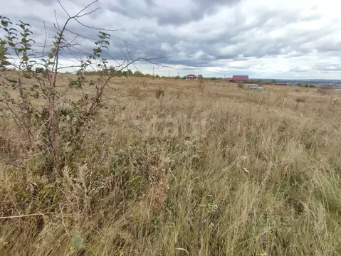 Участок в Воронежская область, Рамонский район, Новоживотинновское ...