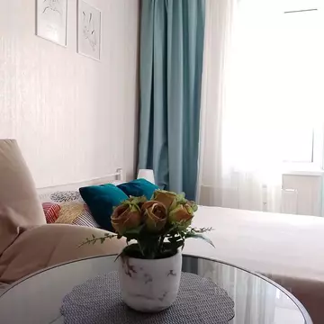 Студия Пермский край, Пермь ул. Вильямса, 51А (24.0 м)