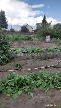 Участок в Алтайский край, Барнаул Декоратор СНТ, 74 (10.2 сот.)