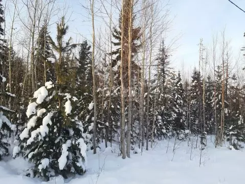 Участок в Ханты-Мансийский АО, Ханты-Мансийск  (8.4 сот.)