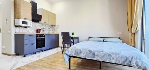 Студия Краснодарский край, Сочи ул. Кошевого, 13с1 (27.0 м)