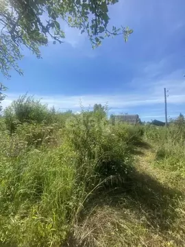 Участок в Московская область, Дмитровский муниципальный округ, Звезда ...