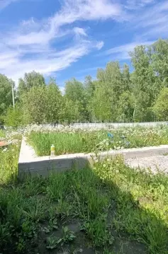 Участок в Новосибирская область, Новосибирский район, Плотниковский ...