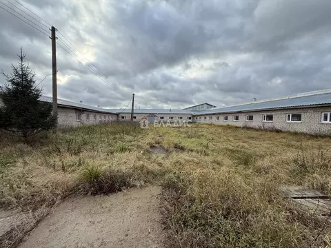 Производственное помещение в Ярославская область, Рыбинский ...