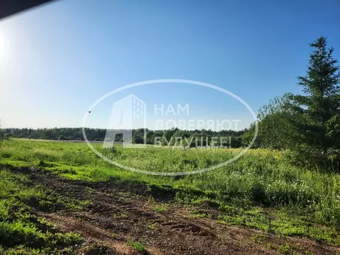 Участок в Пермский край, Чернушинский городской округ, д. Андроново ...