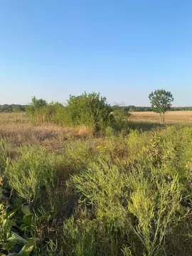 Участок в Краснодарский край, Северское с/пос, Воликов хут.  (25.0 ...