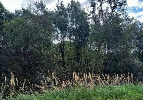 Участок в Московская область, Дмитровский муниципальный округ, д. ...