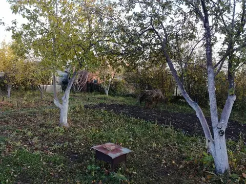 Дом в Челябинск, СНТ Нефтяник (20 м)