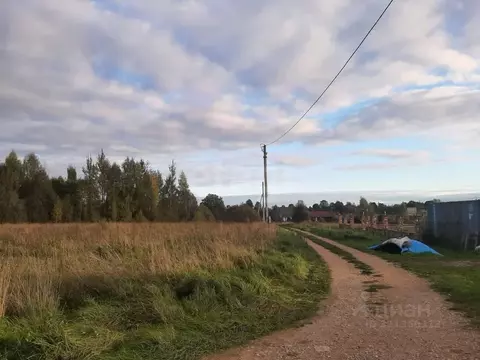 Участок в Псковская область, Палкинский район, Новоуситовская волость, ...