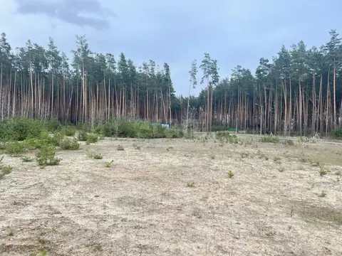 Участок в Белгородская область, Белгородский муниципальный округ, с. ...