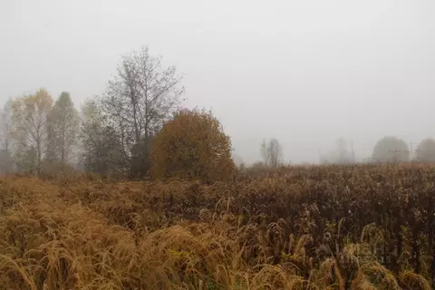 Участок в Московская область, Шаховская муниципальный округ, д. ...