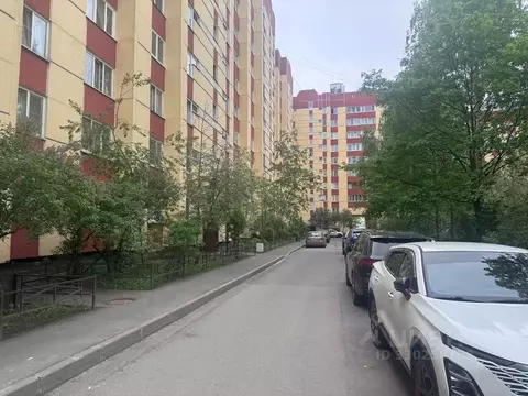 2-к кв. Санкт-Петербург ул. Савушкина, 145 (54.1 м)
