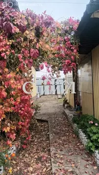 Дом в Абакан, улица Крылова, 11 (44.7 м)