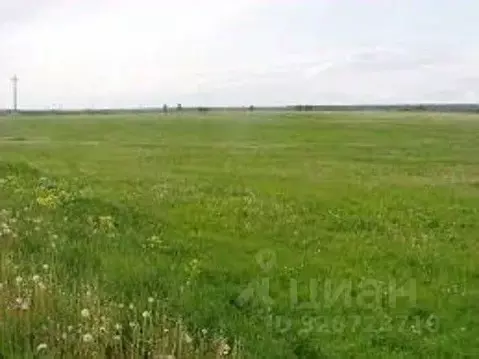 Участок в Калининградская область, Гурьевский муниципальный округ, ...