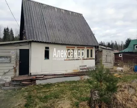 Дом в Ленинградская область, Гатчинский муниципальный округ, Чаща ...