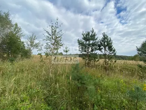 Участок в Тульская область, Заокский район, Страховское с/пос, с. ...