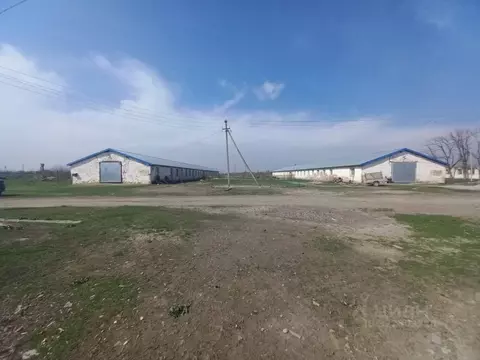 Помещение свободного назначения в Кабардино-Балкария, Прохладненский ...