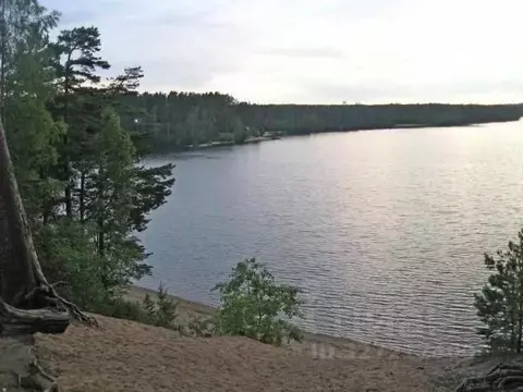 Участок в Ленинградская область, Выборгский район, Первомайское с/пос, ...