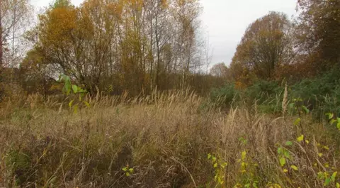 Участок в Московская область, Коломна городской округ, пос. Пески  ...