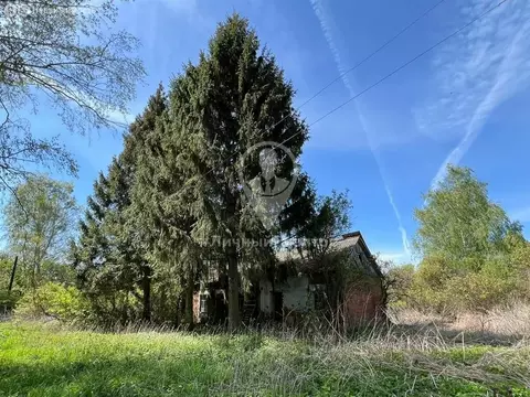 Дом в Рязанская область, Старожиловский муниципальный округ, деревня ...