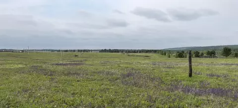 Участок в Иркутская область, Иркутский муниципальный округ, д. ...