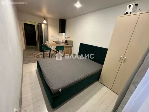 Квартира-студия: Мурино, Воронцовский бульвар, 19к1 (20 м)