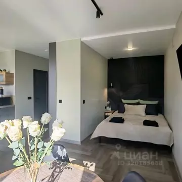 1-к кв. Забайкальский край, Чита ул. Ленина, 150 (30.0 м)