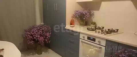 2-к кв. Ярославская область, Ярославский муниципальный округ, д. ...