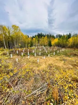 Участок в Иркутская область, Иркутский муниципальный округ, д. ...
