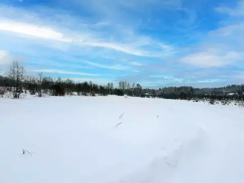 Участок в Московская область, Дмитровский муниципальный округ, Сбоево ...