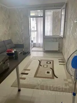 Студия Краснодарский край, Анапа Таманская ул., 121к16 (25.0 м)