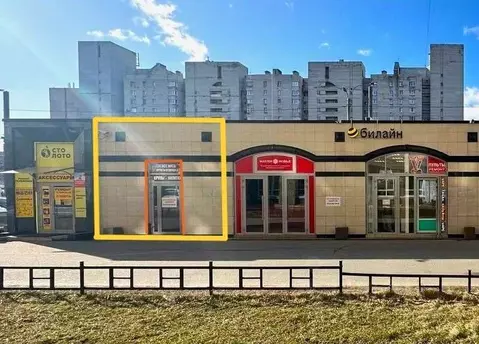 Торговая площадь в Санкт-Петербург просп. Просвещения, 36к1 (30 м)