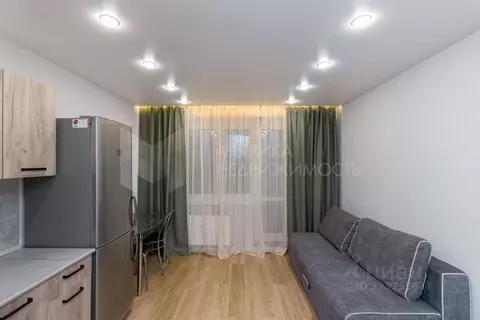 Студия Тюменская область, Тюменский муниципальный округ, д. Патрушева ...