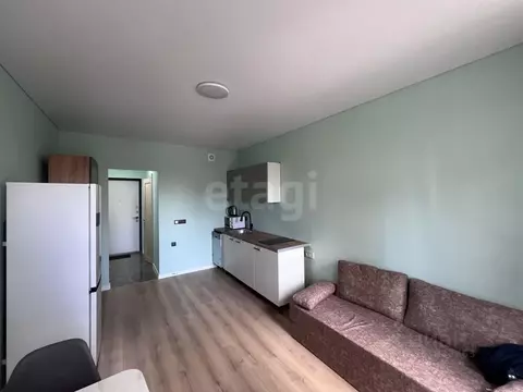 Студия Москва Производственная ул., 19к1 (22.0 м)