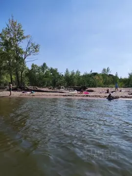 Участок в Саратовская область, с. Усть-Курдюм ул. Октябрьская, 24 ...