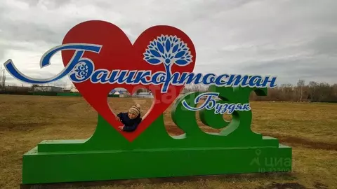 Дом в Башкортостан, с. Буздяк ул. Гагарина, 117 (38 м)