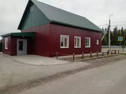 Помещение свободного назначения в Новосибирская область, с. Кыштовка ...