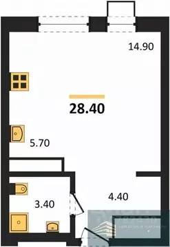 Студия Воронежская область, Воронеж бул. Содружества, 6 (28.4 м)