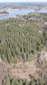 Участок в Карелия, Лахденпохский муниципальный округ, пос. Куркиеки, ...