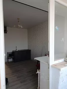 Студия Ивановская область, Иваново ул. Красных Зорь, 1 (22.5 м)