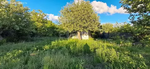 Дом в Саратов, СНТ Тюльпан (12 м)