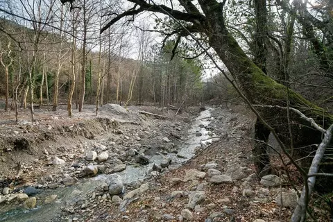 Участок в Крым, Ялта муниципальный округ, Виноградное пгт  (15.0 сот.)