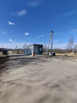 Участок в Ярославская область, Ярославский муниципальный округ, д. ...