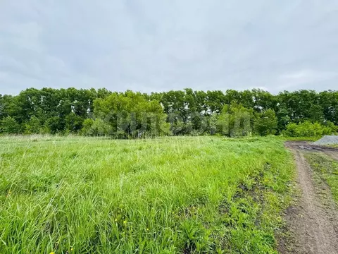 Участок в Кемеровская область, Кемеровский район, с. Ягуново Школьная ...