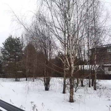 Участок в Московская область, Истра муниципальный округ, д. Красный ...