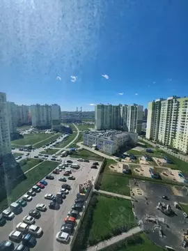 1-к кв. Санкт-Петербург дор. Муринская, 84 (38.1 м)