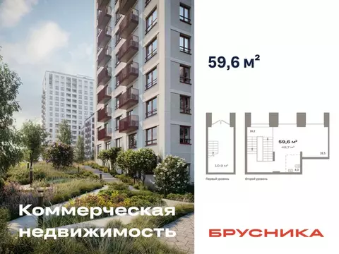 Помещение свободного назначения в Новосибирская область, Новосибирск ...