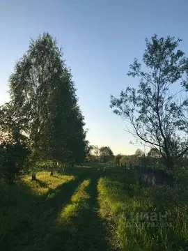 Участок в Московская область, Чехов муниципальный округ, д. Березенки  ...