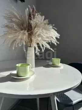 Студия Ростовская область, Ростов-на-Дону ул. Нансена, 109/2 (22.4 м)