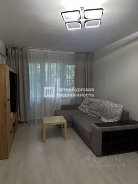 2-к кв. Санкт-Петербург просп. Мечникова, 8К2 (45.8 м)